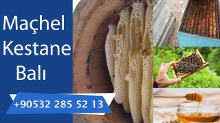 Artvin Maçahel Balı